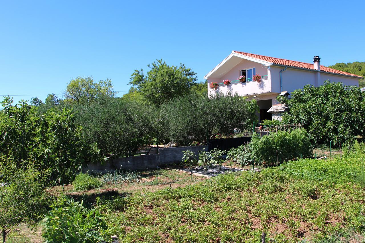 Apartment Salajic Tisno Extérieur photo